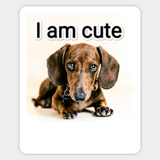 Cute dog Sticker